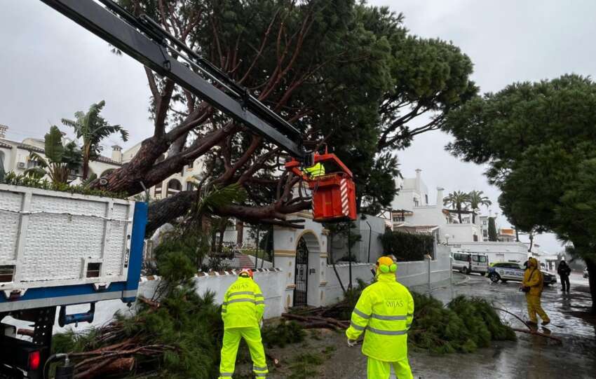 Temporal final enero 2026 6 1536x1152 1