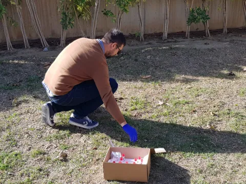 rincon recogida.jpeg