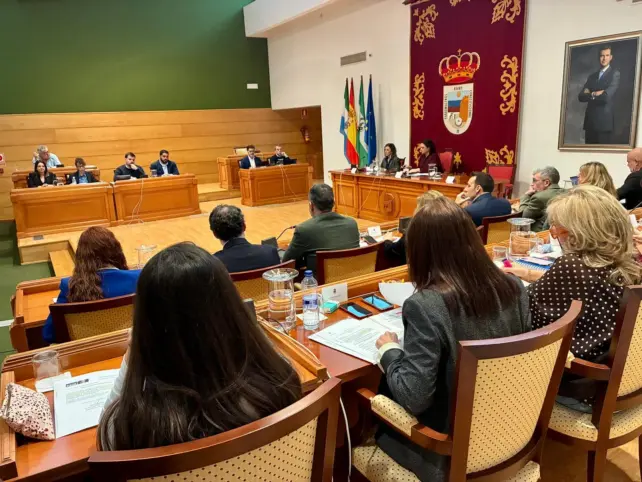 29 - PLENO ORDINARIO TORREMOLINOS