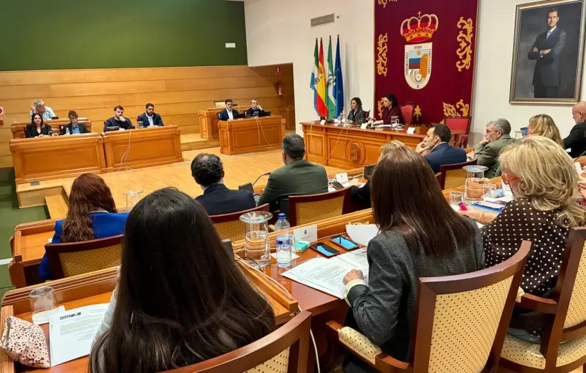 29 - PLENO ORDINARIO TORREMOLINOS