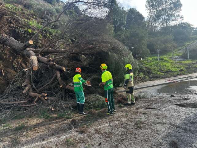 Balance temporal febrero 1 1536x1152 2