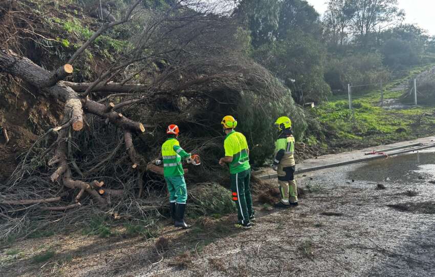 Balance temporal febrero 1 1536x1152 2