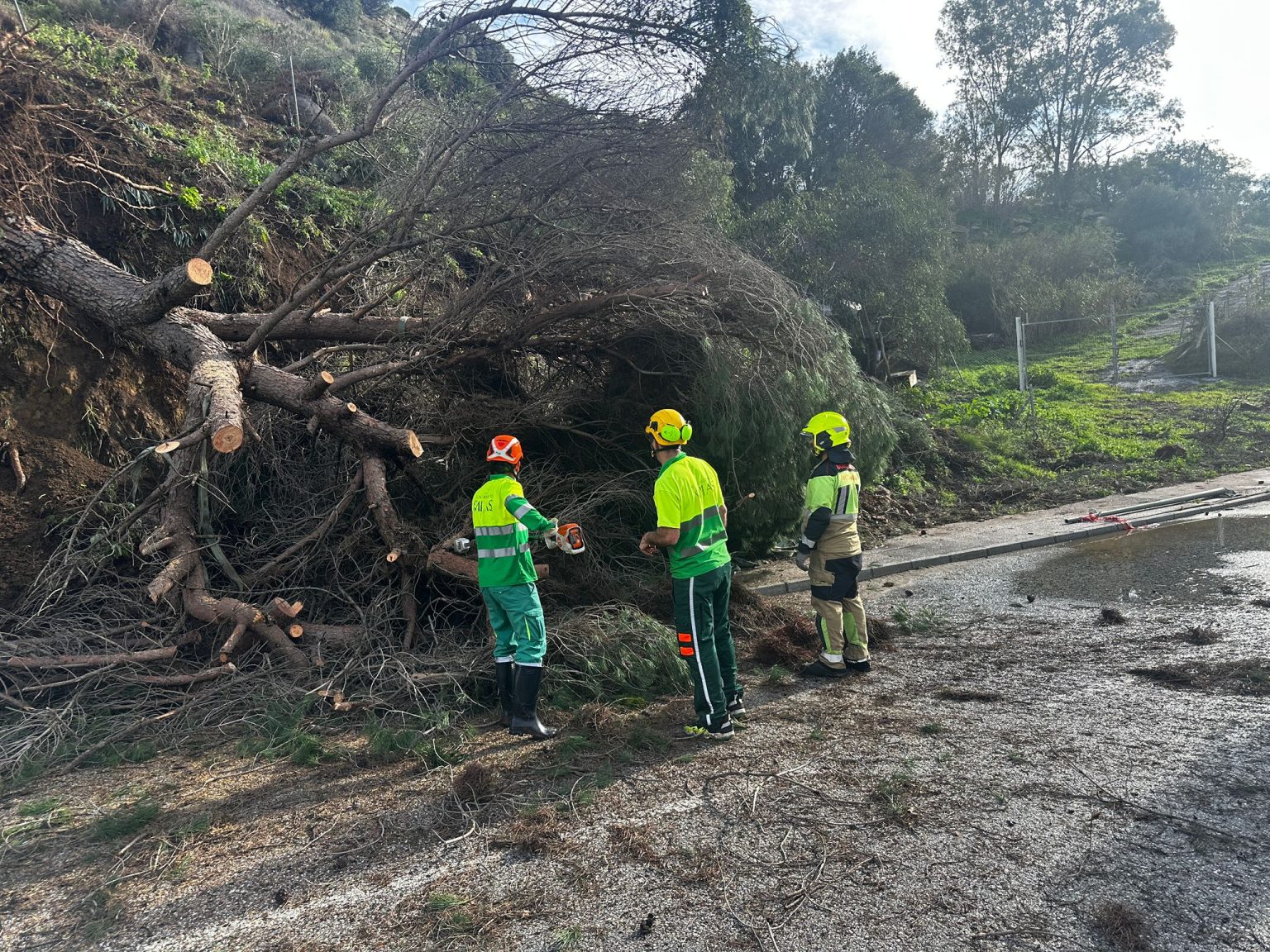 Balance temporal febrero 1 1536x1152 2