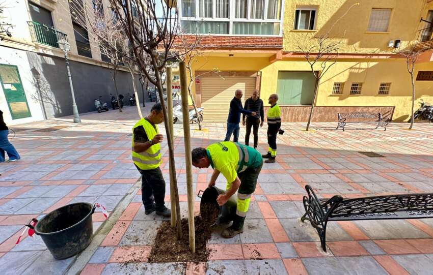 Dos operarios municipales plantan un arbol