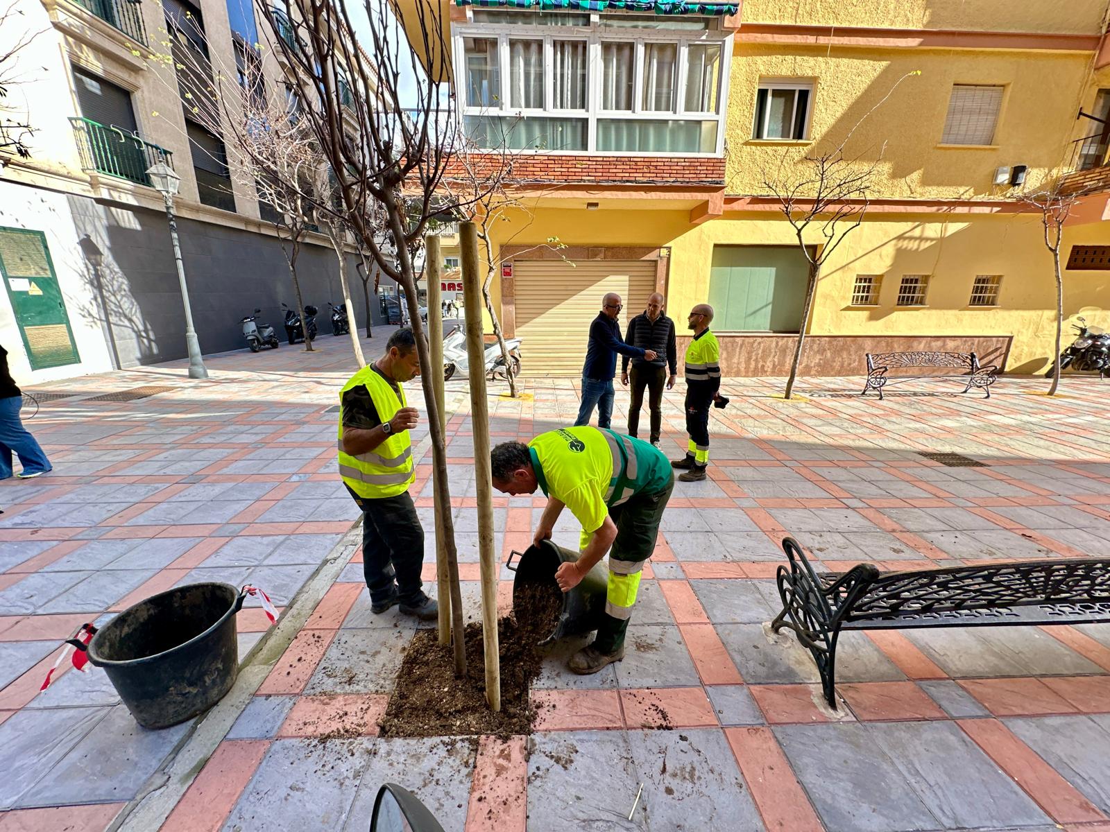 Dos operarios municipales plantan un arbol