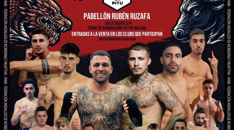 Velada boxeo 800x445 1