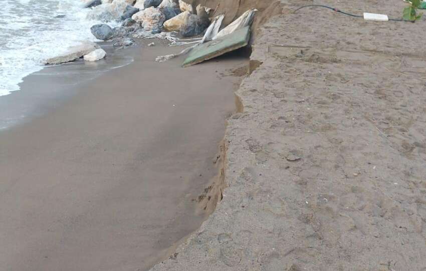 WhatsApp Image 2026 02 05 at 15.04.56