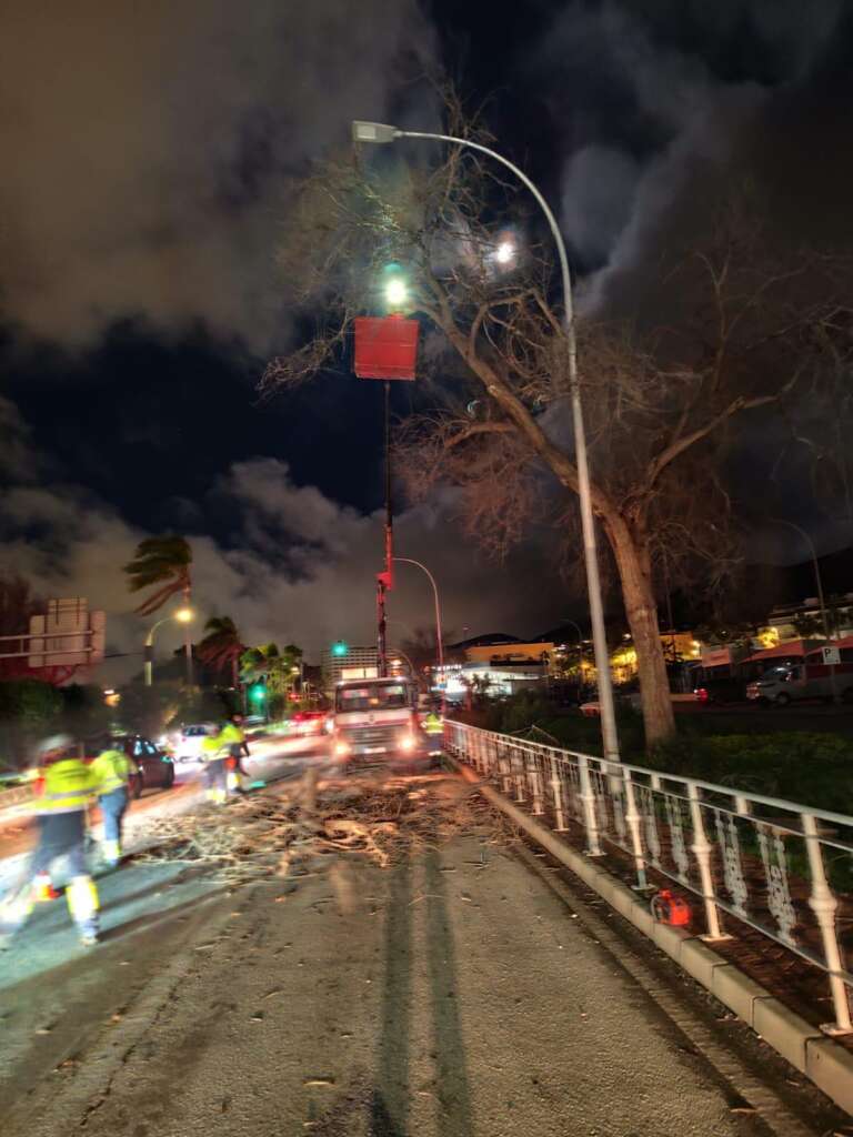 WhatsApp Image 2026 02 05 at 15.04.57