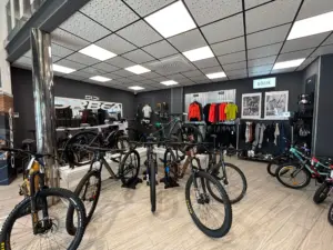 Radio MARCA Málaga y Klimaverso Bikes pedalean rumbo a Anoeta 3 WhatsApp Image 2026 02 14 at 15.44.45 11zon 2