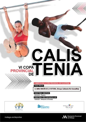 cartel copa prov calistenia 2026.jpg