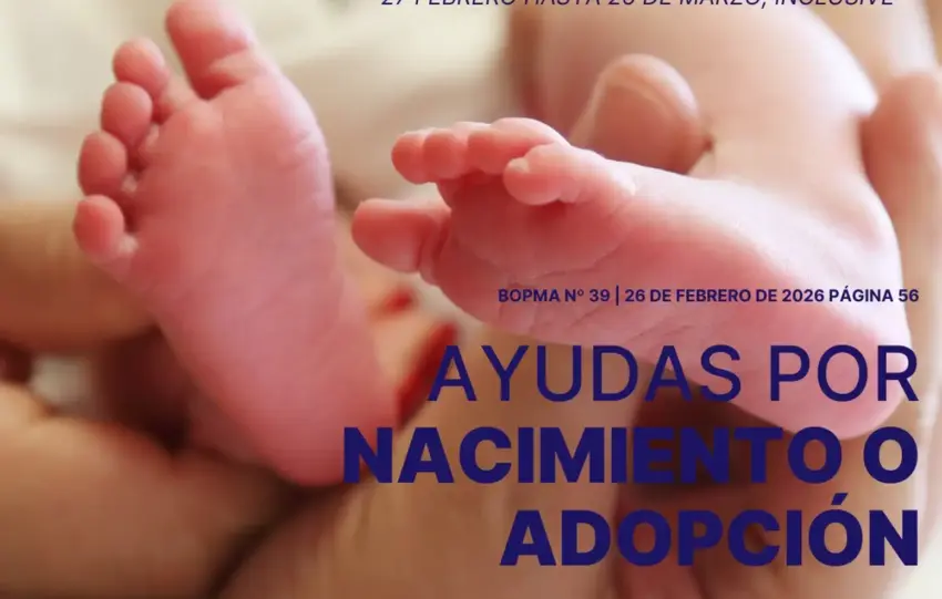 cheque diputacion.jpg