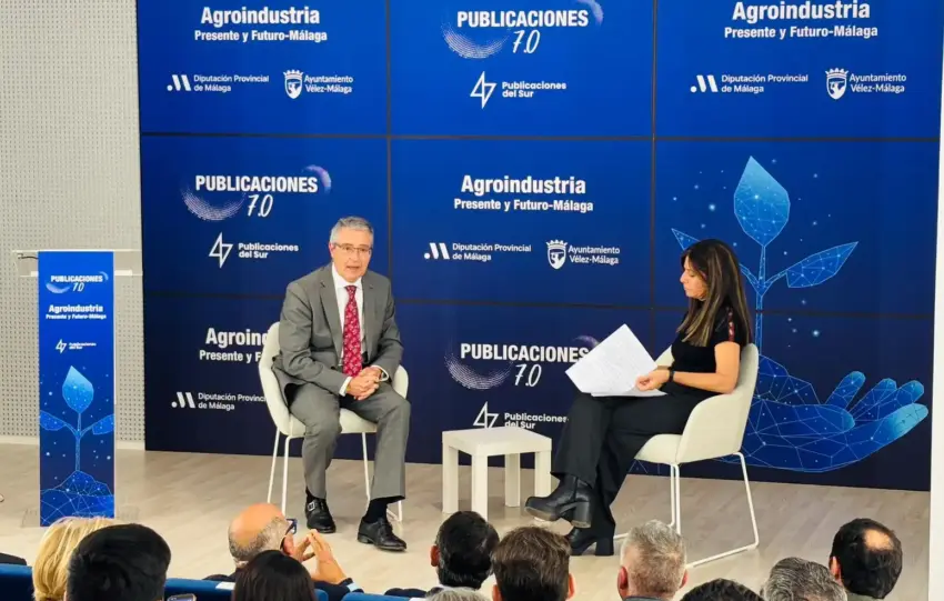 diputacion francis salado