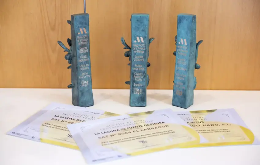 salado diputacion.jpg 1