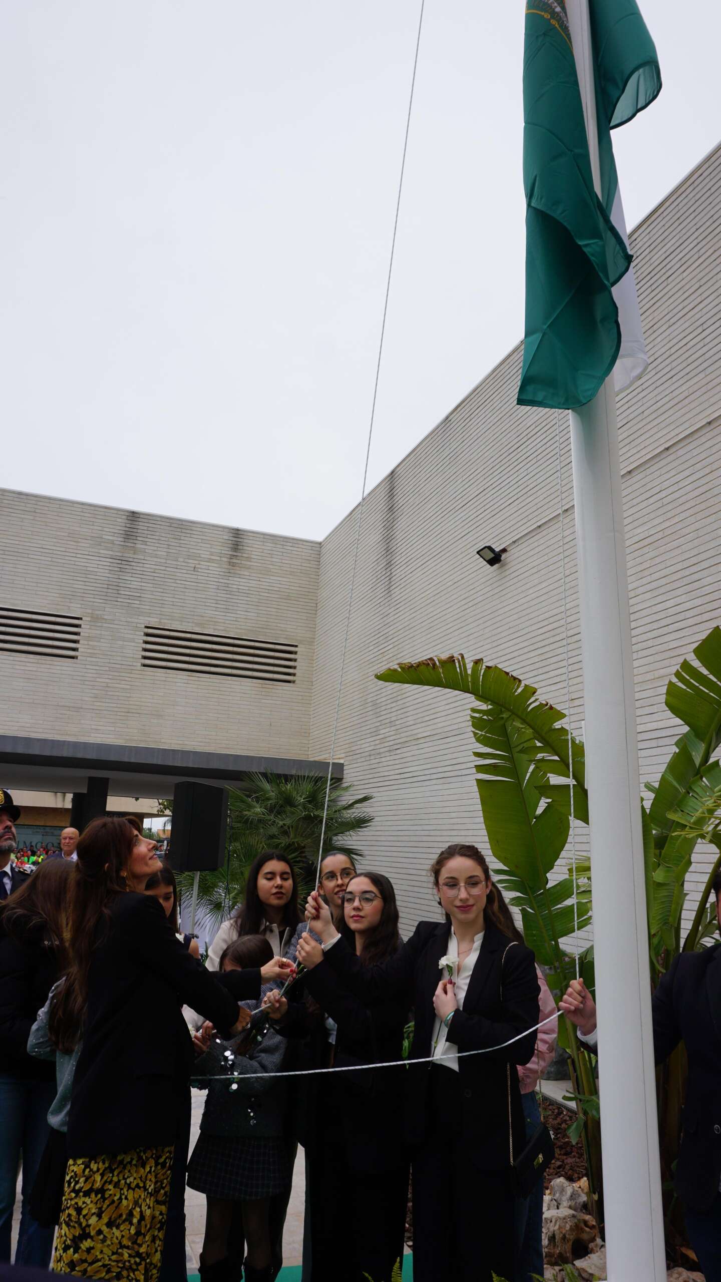 Image 2026 03 05 scaled