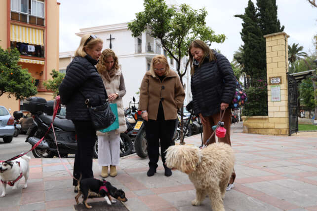 Los duenos de perros deberan usar una botellita de agua para diluir el orin de las mascotas