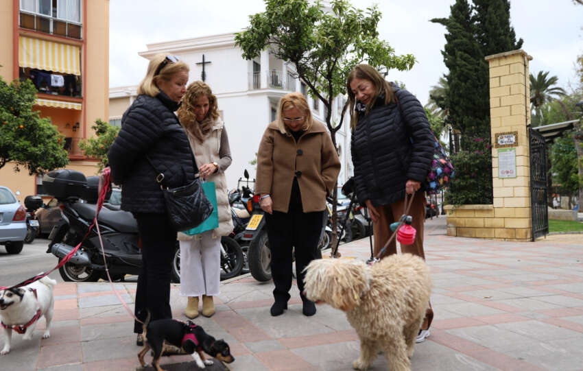 Los duenos de perros deberan usar una botellita de agua para diluir el orin de las mascotas
