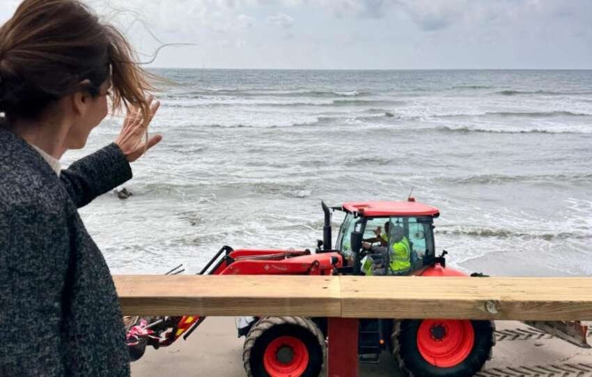 Regeneracion playas El Capricho