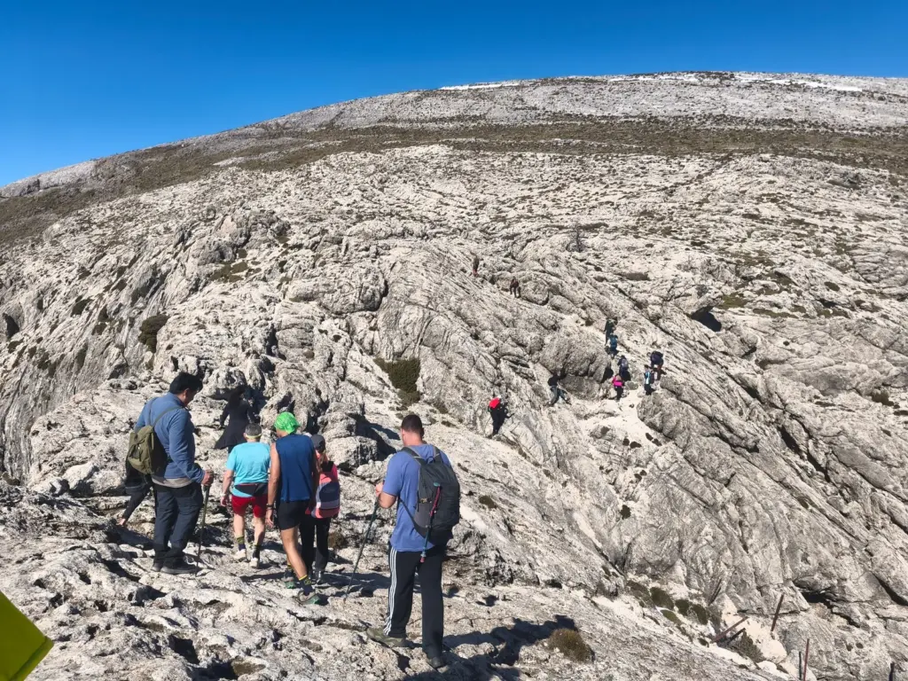 invierno-joven-2026-(7