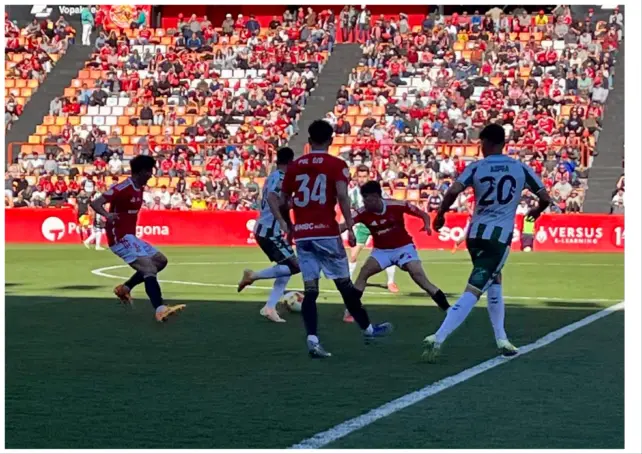 El delegado del Antequera CF, sancionado por lanzar balones al campo contra el Nástic
