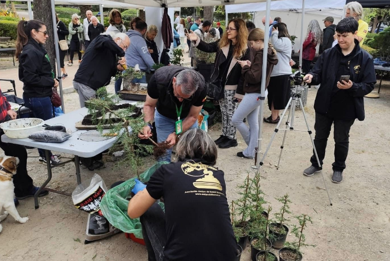 2026 04 011775045966