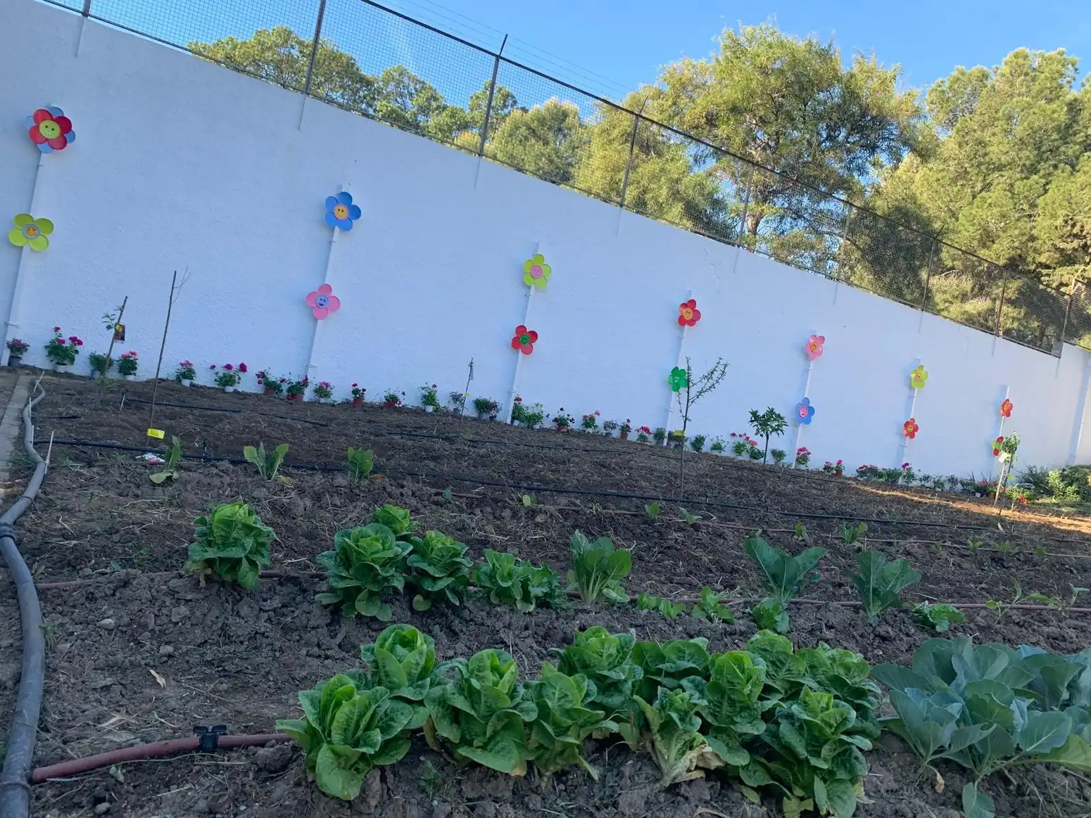 El Centro Virgen de la Esperanza de la Diputación programa actividades en el nuevo huerto sensorial para sus usuarios 3 23 - HUERTO SENSORIAL VIRGEN DE LA ESPERANZA