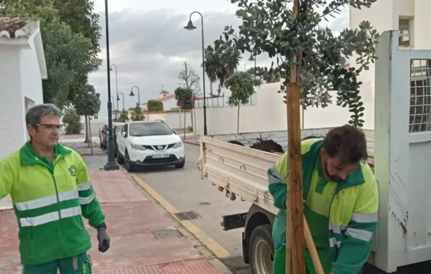 31 - MIJAS PLANTACIONES