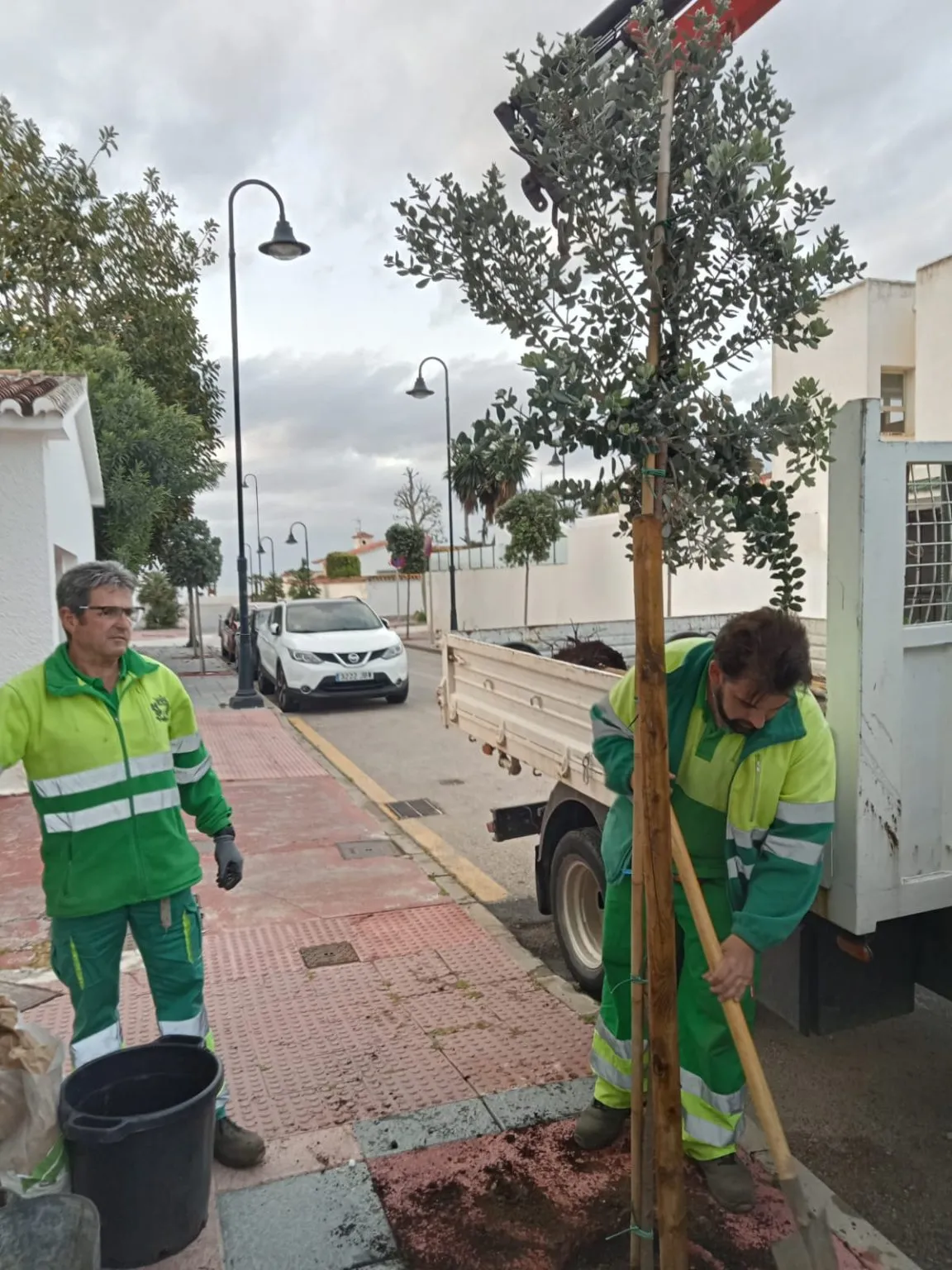 31 - MIJAS PLANTACIONES