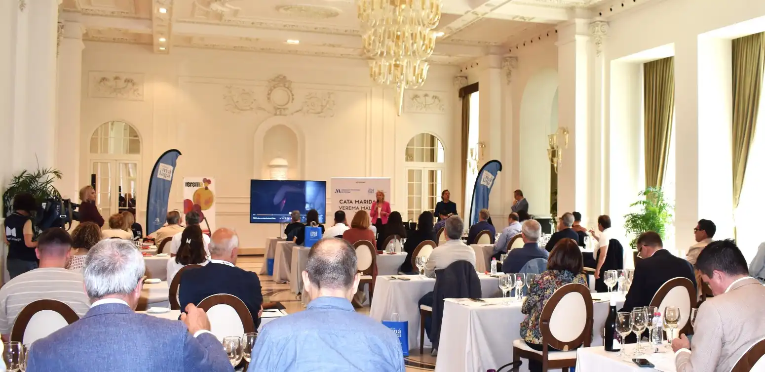 33 - MARIDAJE DIPUTACIÓN DE MÁLAGA