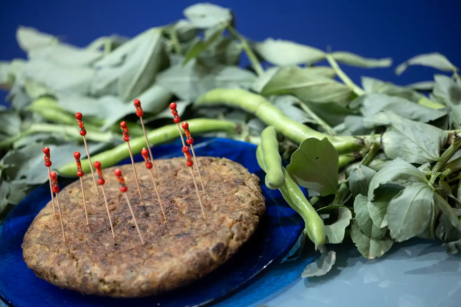 8 - VILLANUEVA DE LA CONCEPCIÓN DIA DE LA HABA