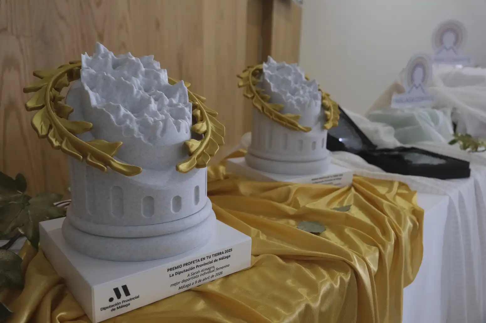 La Diputación de Málaga entrega los II Premios ‘Profeta en tu tierra’ a Sarah Almagro y Rubén Roldán 6 9 - PREMIOS TU TIERRA DIPUTACIÓN