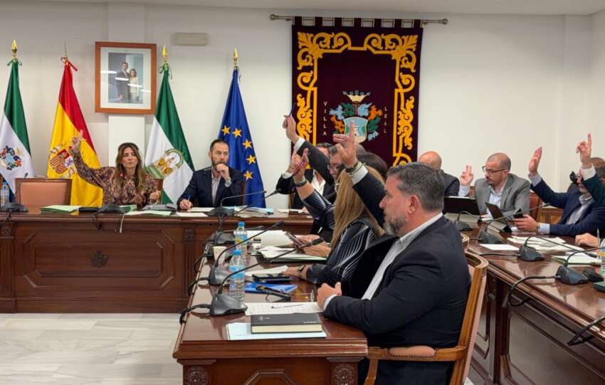 Pleno ordinario abril 7 1024x768 1