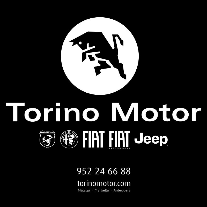TORINO MOTOR MARCA MERCHAN BANNER 800X800