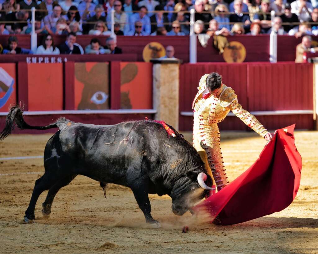 WhatsApp Image 2026 04 04 at 18.32.00 1