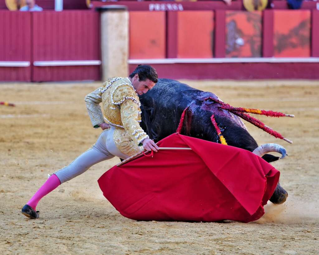 WhatsApp Image 2026 04 04 at 18.57.49 1