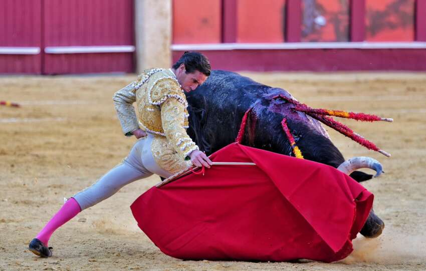 WhatsApp Image 2026 04 04 at 18.57.49