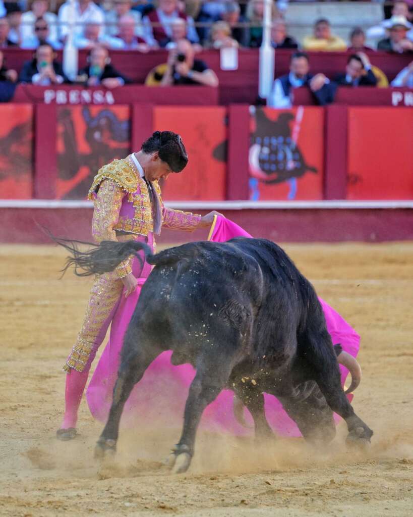 WhatsApp Image 2026 04 04 at 19.21.47