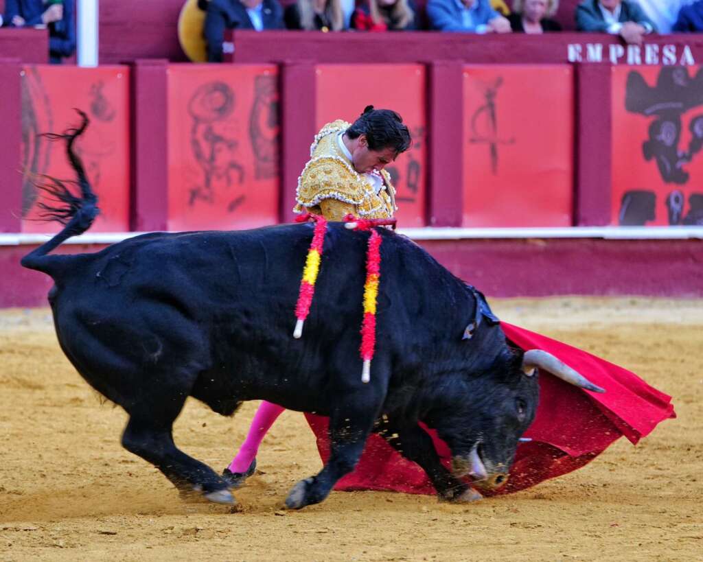 WhatsApp Image 2026 04 04 at 20.16.51