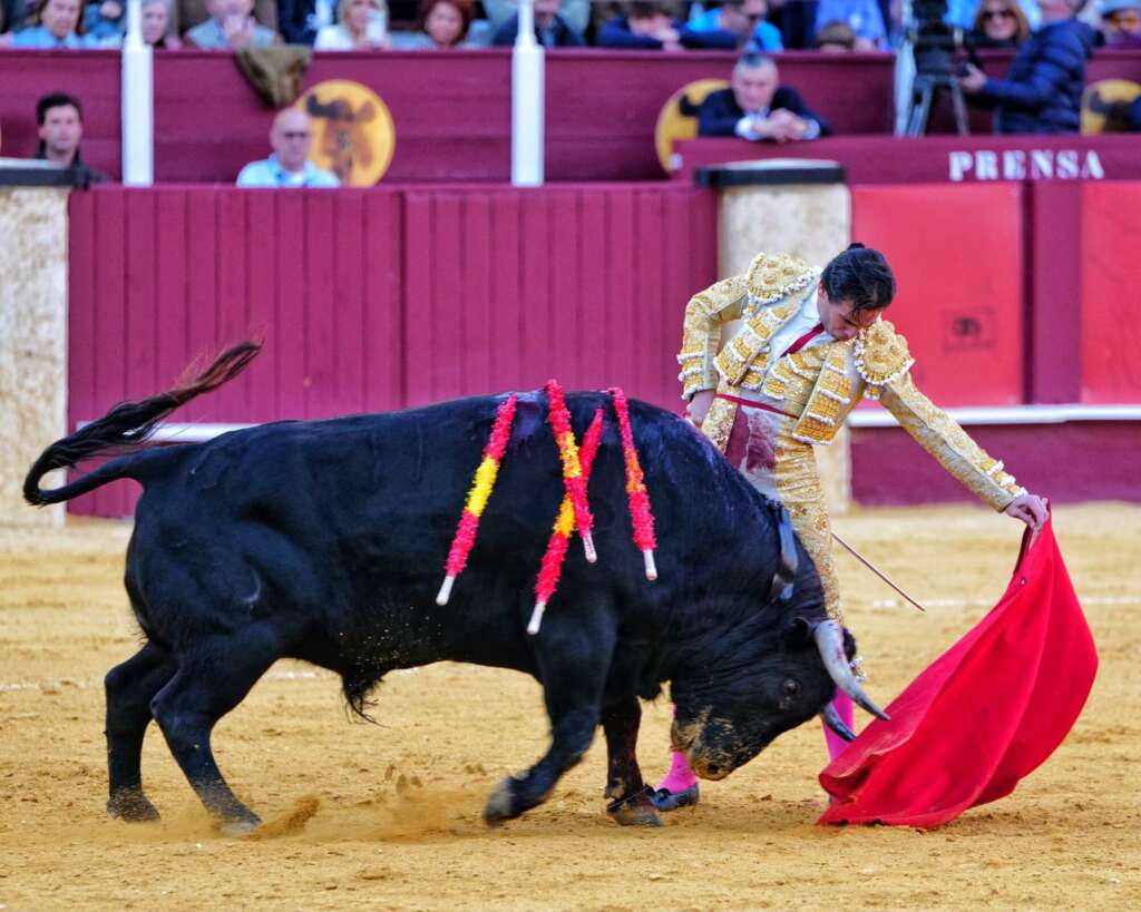 WhatsApp Image 2026 04 04 at 20.17.01