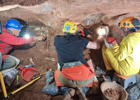 WhatsApp Image 2026 04 06 at 11.18.38.jpeg