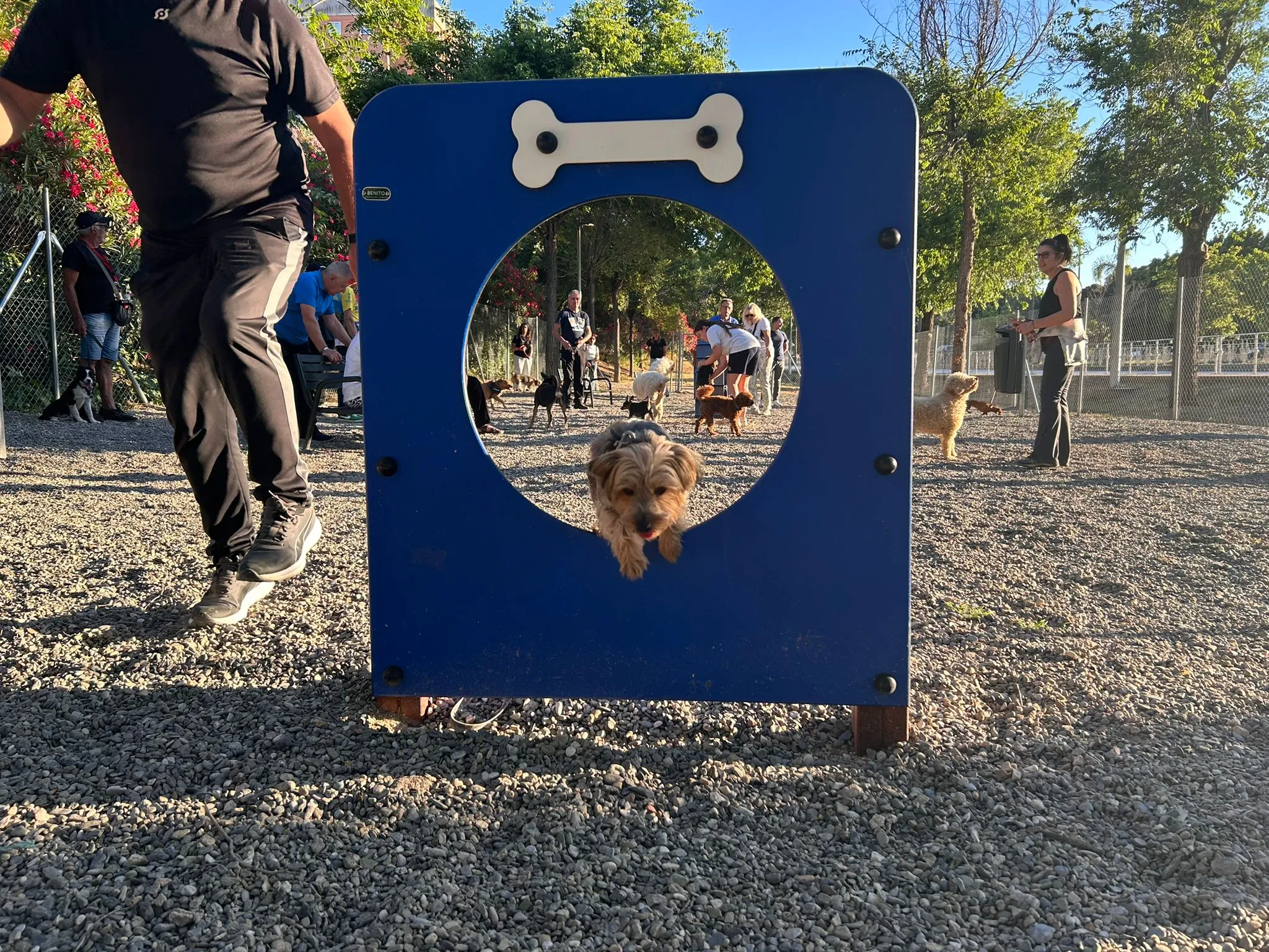 41 - PARQUE CANINO TORREMOLINOS