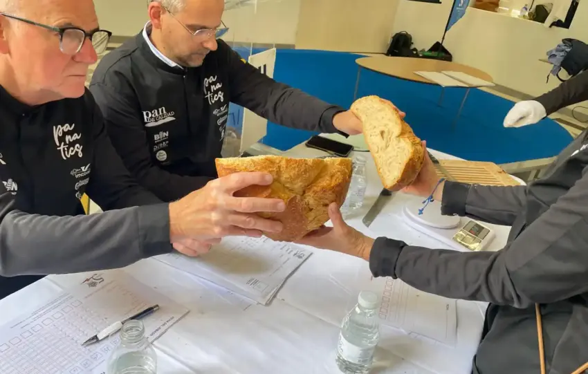 48 - PANADERÍA ARTESANAL MÁLAGA