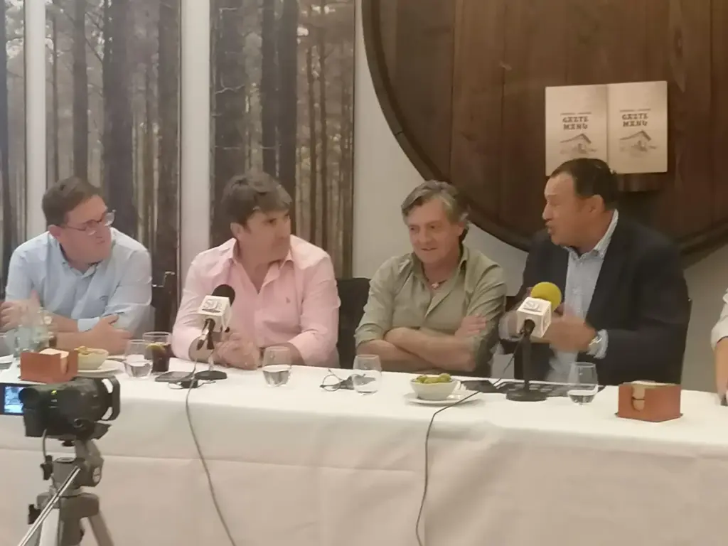 65 - MANSILLA CON ROMAY