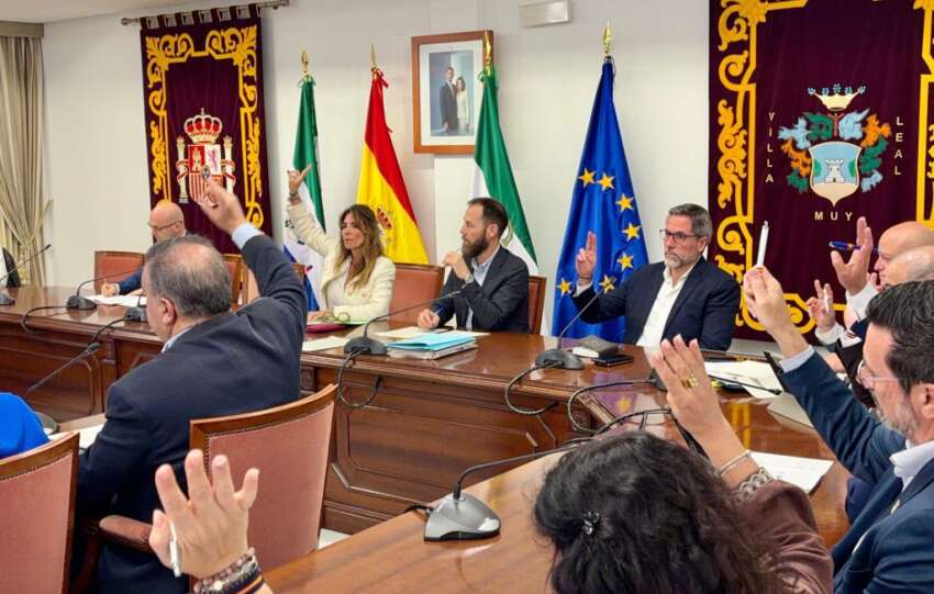 Pleno extraordinario Mijas 5 mayo 1 1024x768 1