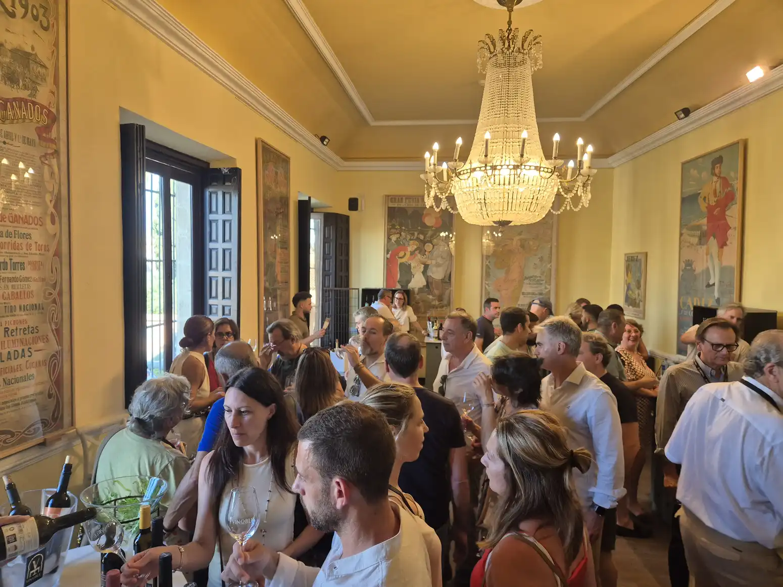 4 - VINOS BODEGAS DIPUTACIÓN