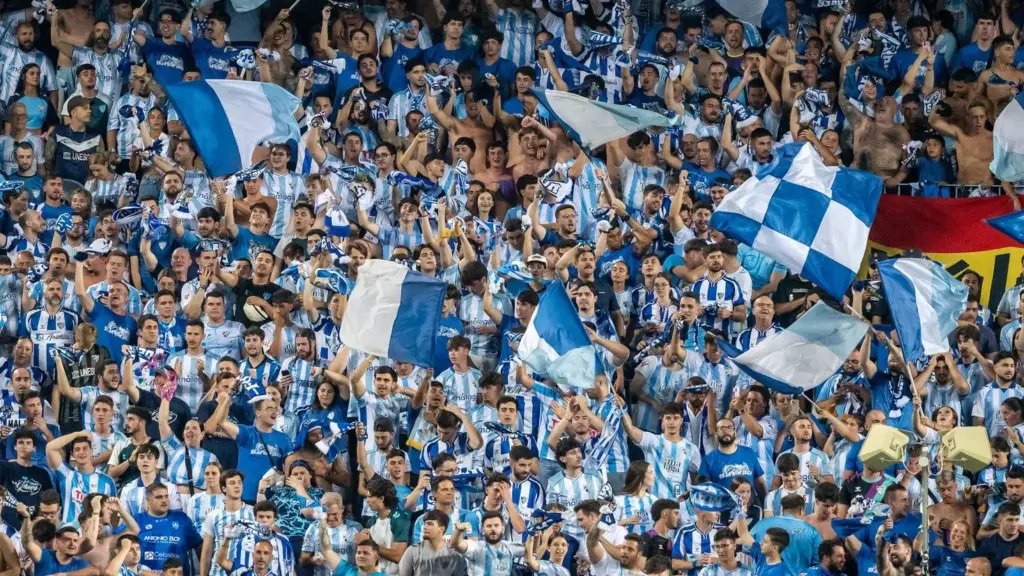 41 FONDO SUR ANIMA CON BANDERAS Y BUFANDAS