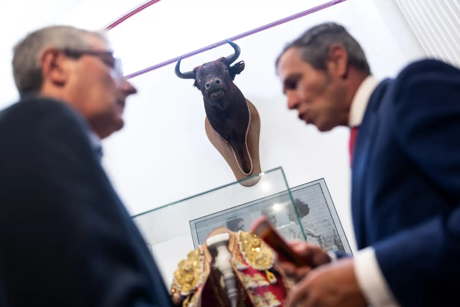 7 - DIPUTACIÓN TAUROMAQUIA