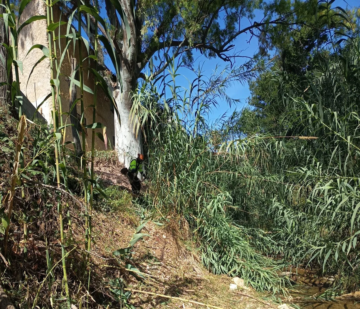 Benalmádena intensifica la limpieza de cauces y el desbroce de parcelas municipales para reforzar la prevención de incendios 3 72 - LIMPIEZA CAUCES BENALMADENA