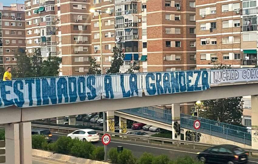 Málaga amanece volcada con los 'bichos': "Destinados a la grandeza"