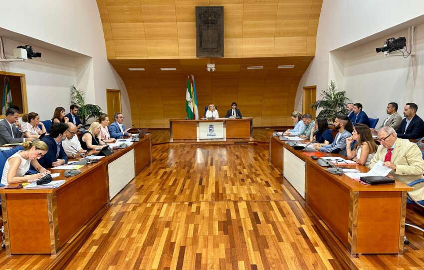 Sesion plenaria correspondiente al mes de junio