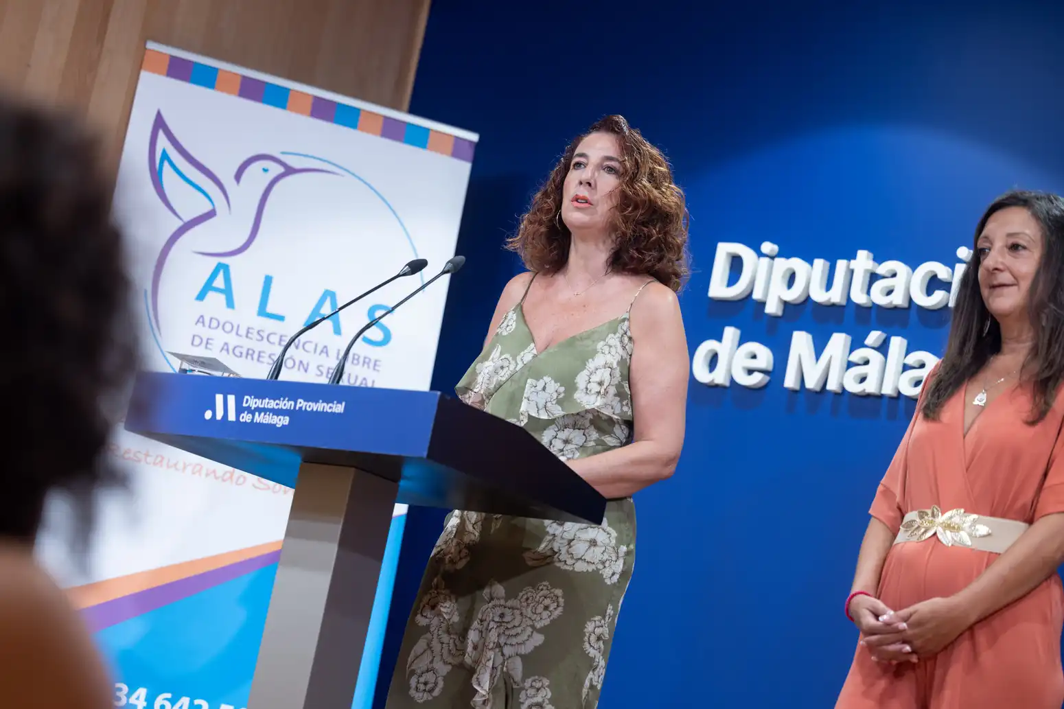 La Diputación de Málaga acogerá una jornada técnica de la Asociación ALAS sobre la protección de la infancia y la adolescencia frente a la violencia 3 2 - ASOCIACIÓN ALAS